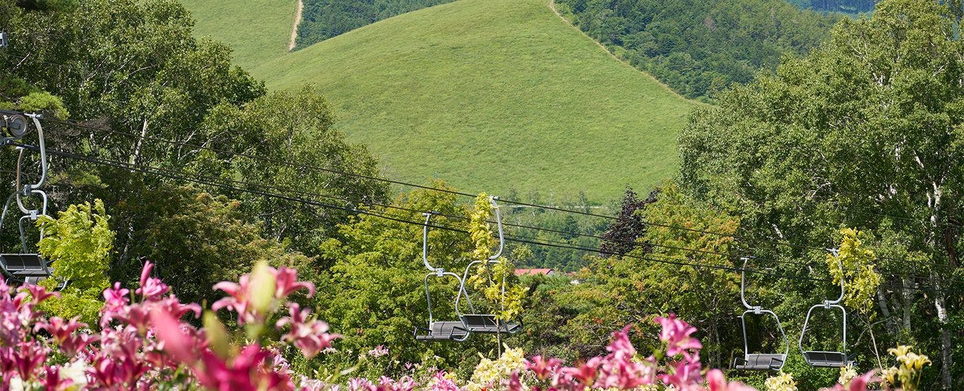 白樺リゾート 池の平ホテル