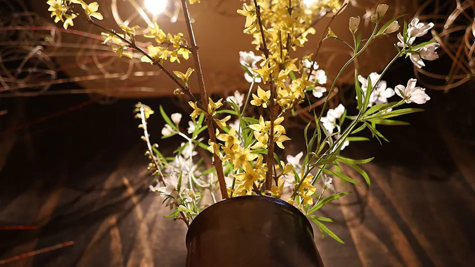 The Abode of Okinato and Ouna: Taketori Monogatari Inn