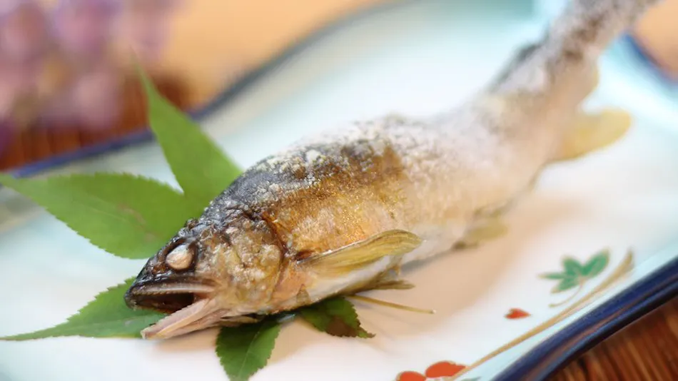 The Abode of Okinato and Ouna: Taketori Monogatari Inn