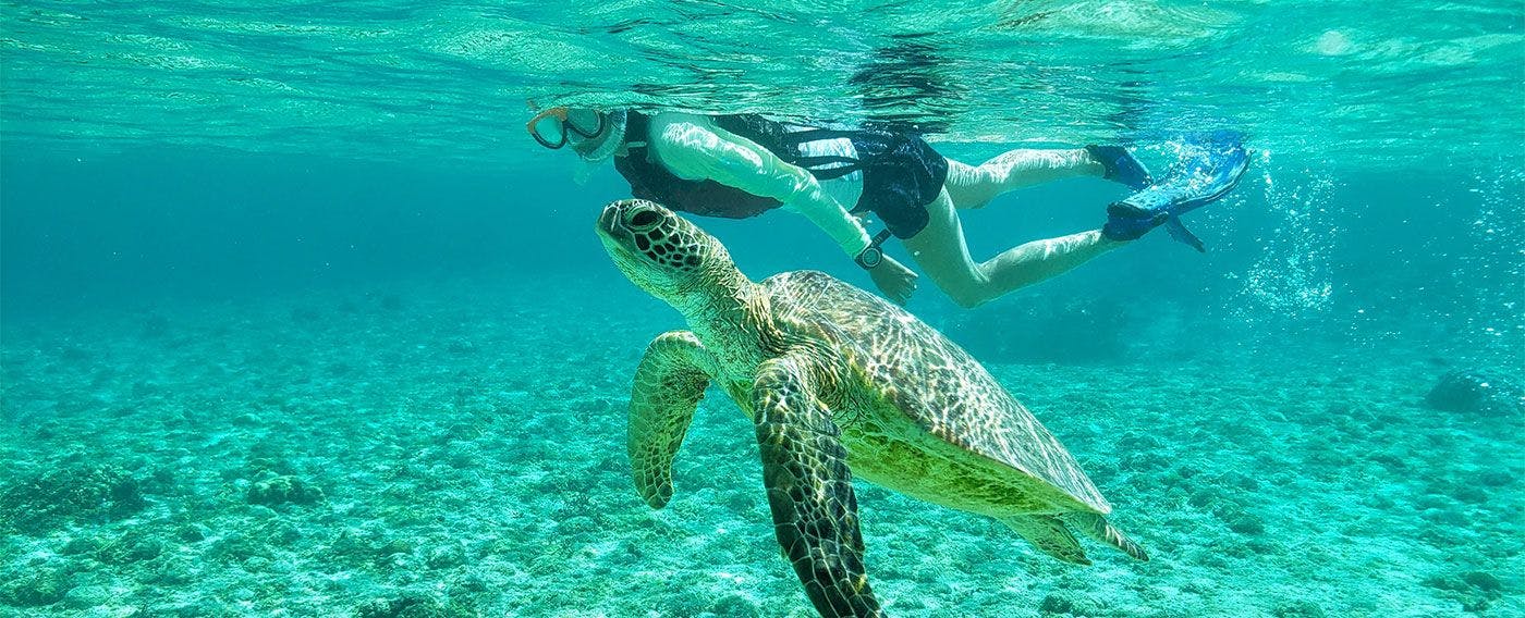 豊富なマリンアクティビティで宮古ブルーをお愉しみいただけます。