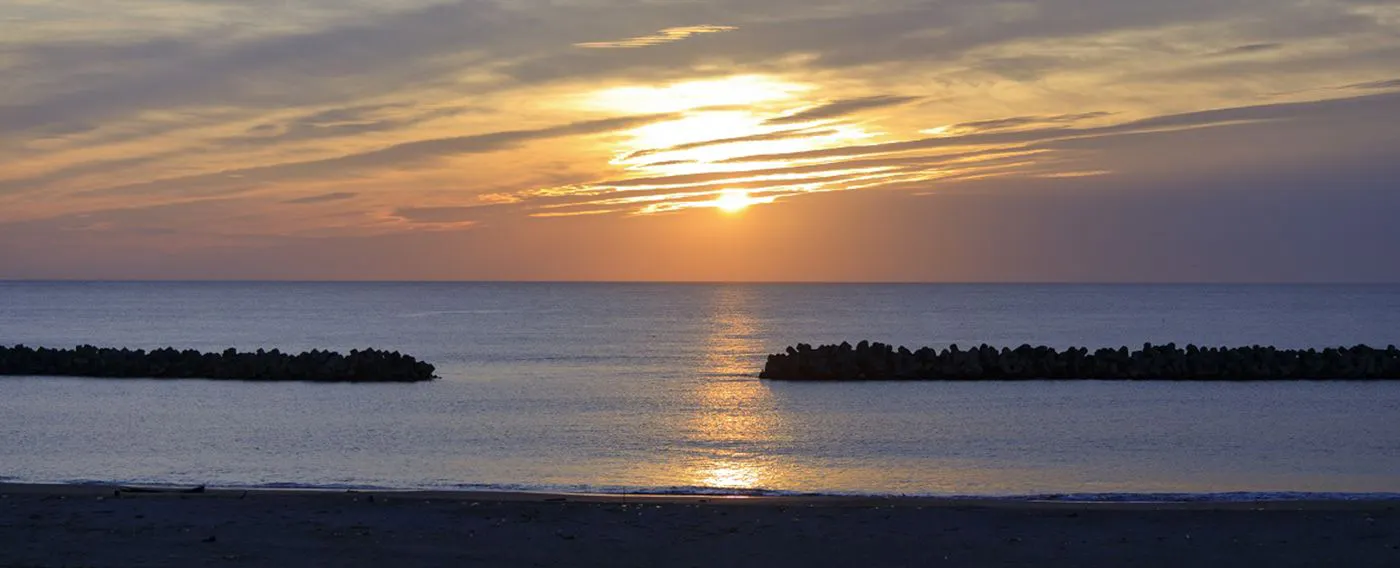 鳥の海からの景色