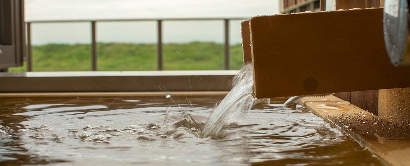 Watari Onsen Tori no Umi