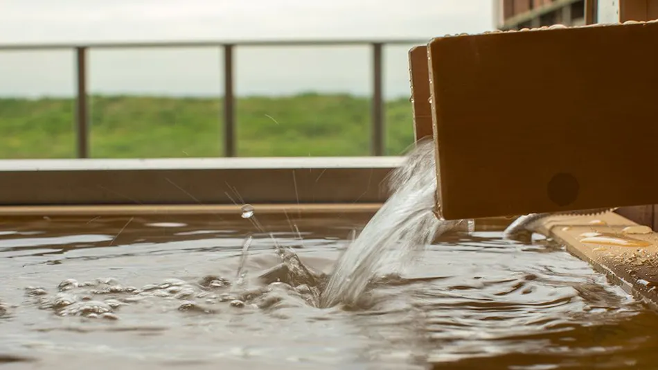 Watari Onsen Tori no Umi