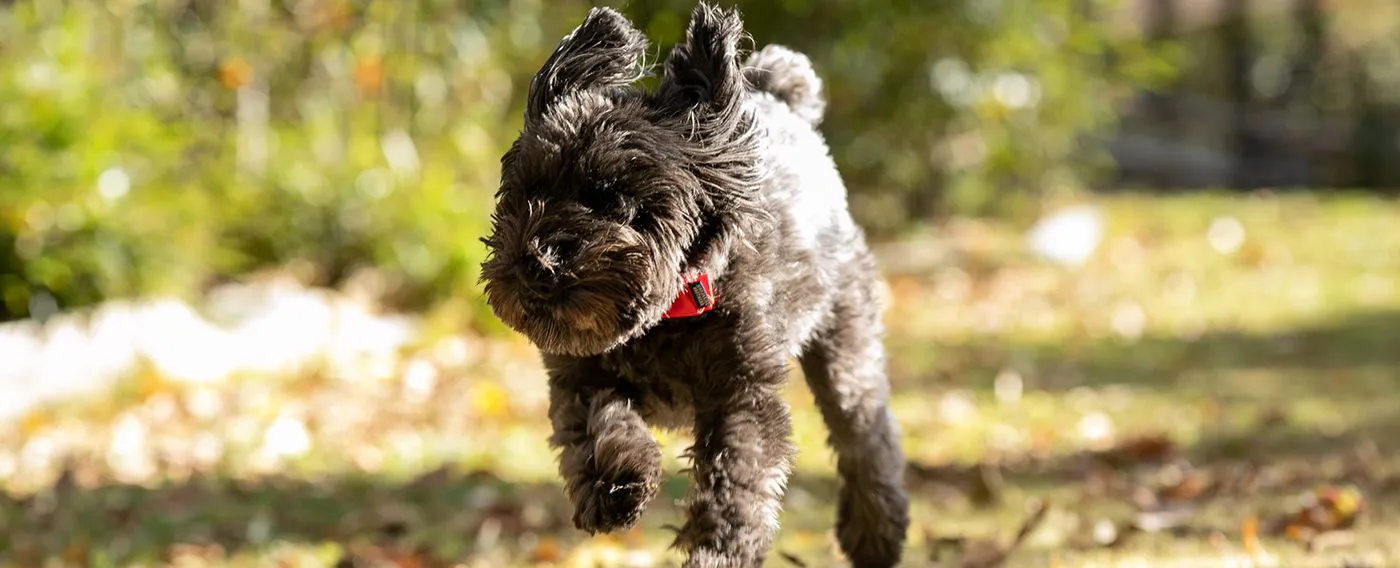 楽しめる工夫のつまった 充実の館内付帯施設