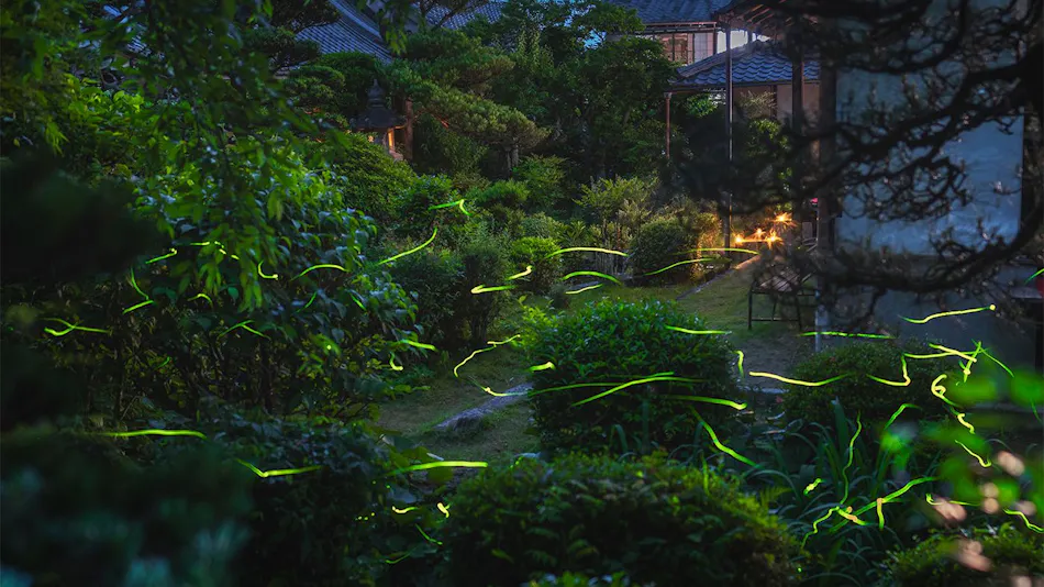 Stays Temple Lodging Konko-in Hotaru-an
