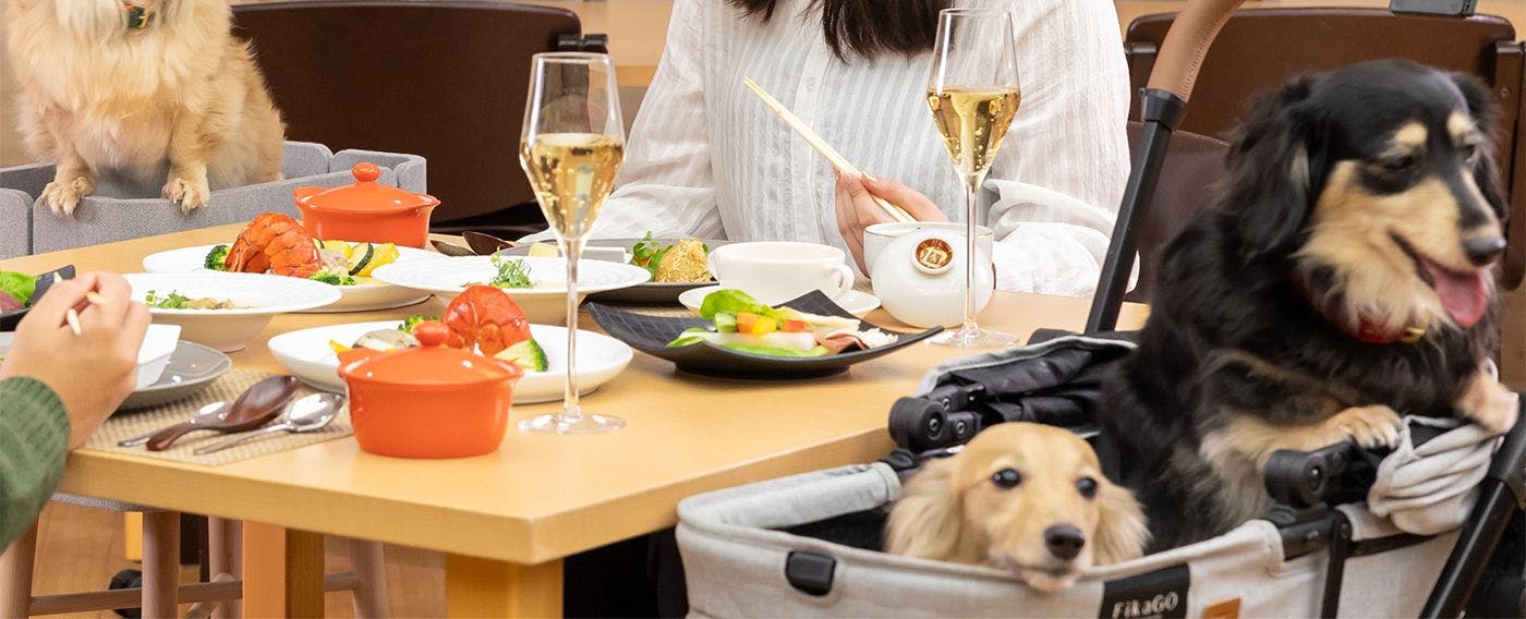 レストランでわんちゃんと一緒にお食事イメージ
