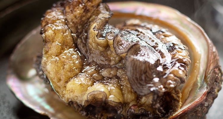 白浜フラワーパークocean Sの料理が美味いおすすめの宿特集おすすめホテル 旅館 宿泊予約は 一休 Com 白浜フラワーパークocean Sの料理が美味いおすすめの宿特集おすすめホテル 旅館 宿泊予約は 一休 Com