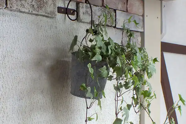 ภายในอาคาร