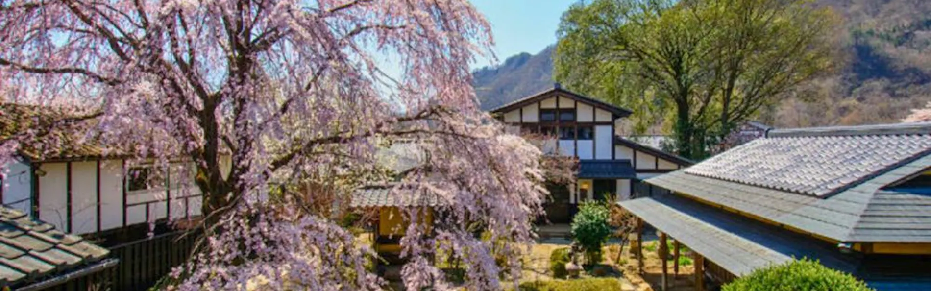 江戸創業 旅籠屋丸一 時を結ぶ 和美心の宿