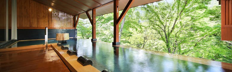 栃木県の絶景が望めるおすすめの宿特集出張におすすめのホテル 旅館 宿泊予約は 一休 Com 栃木県の絶景が望めるおすすめの宿特集出張におすすめのホテル 旅館 宿泊予約は 一休 Com