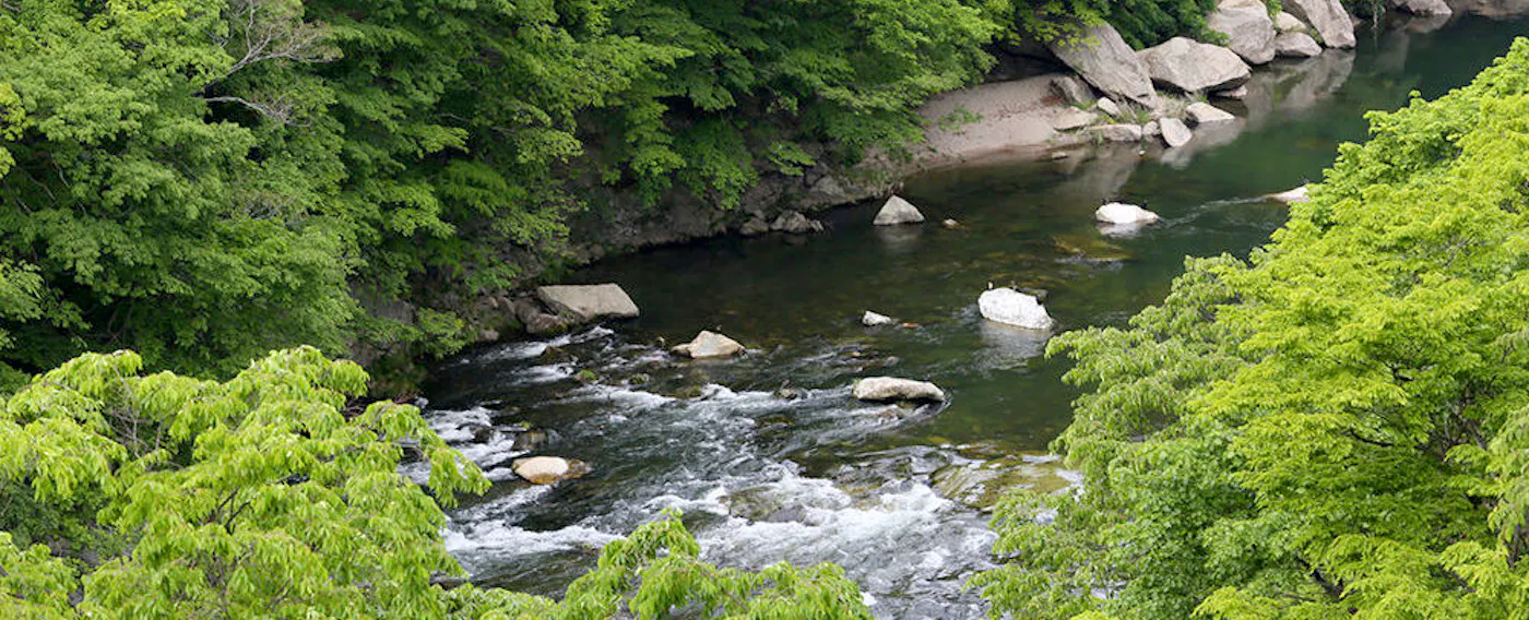 จากห้องพักริมแม่น้ำ ชมวิวที่น่าตื่นตาตื่นใจของต้นน้ำแม่น้ำคินุกาวะ