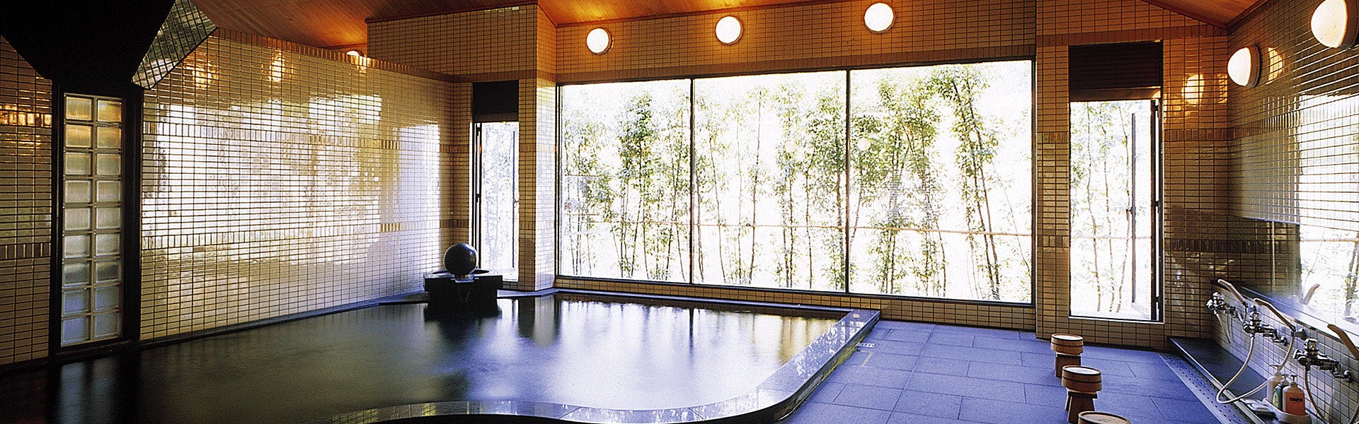 Yumeguri no Yado Watarase Onsen Hotel Sasayuri