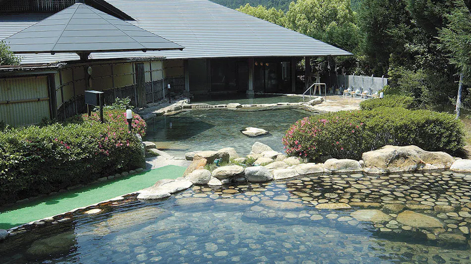 Yumeguri no Yado Watarase Onsen Hotel Sasayuri