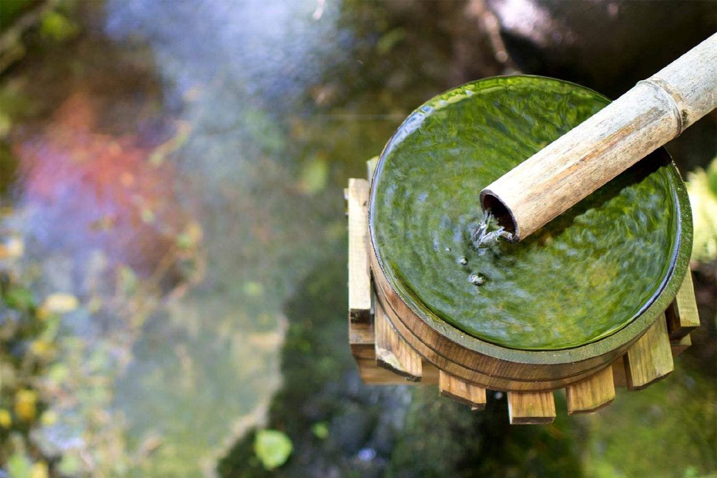 庭園貸切露天風呂