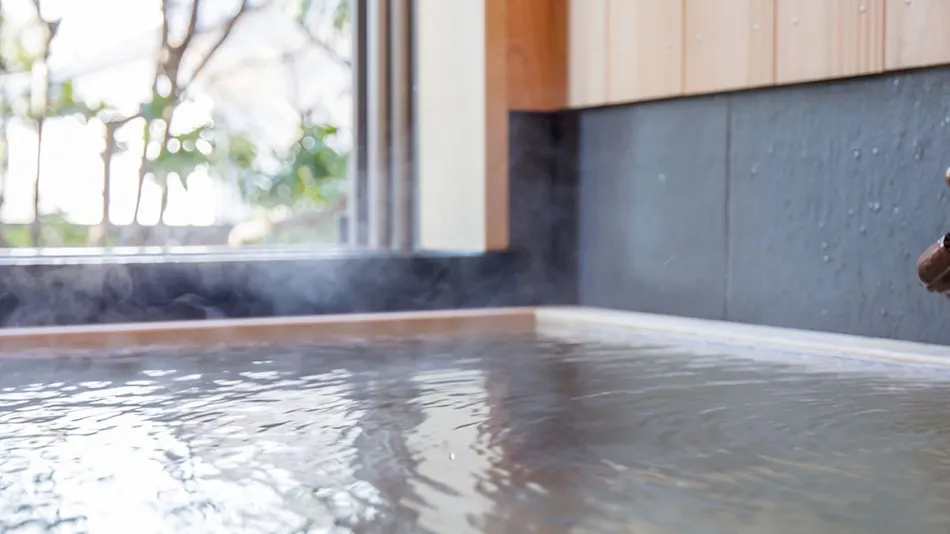 Asama Onsen Fujinoyu