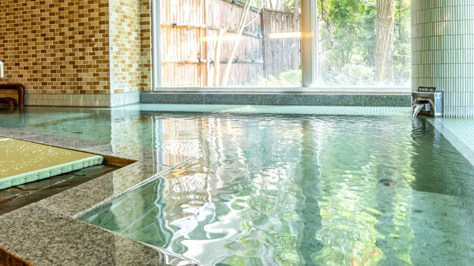 Asama Onsen Fujinoyu