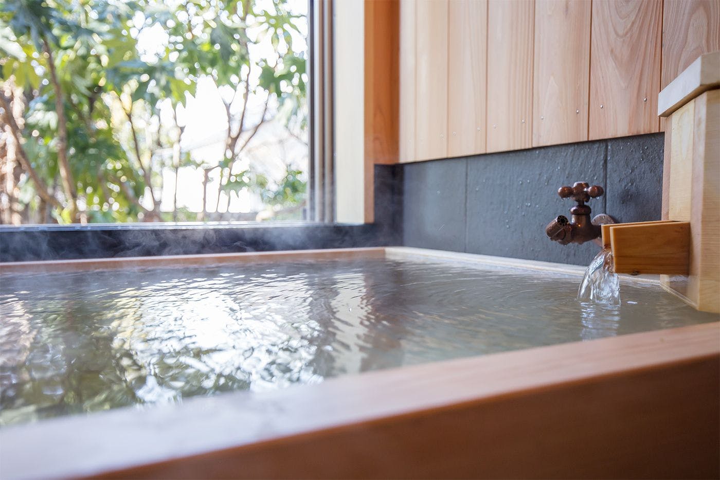 Asama Onsen Fujinoyu