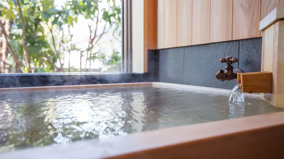 Asama Onsen Fujinoyu