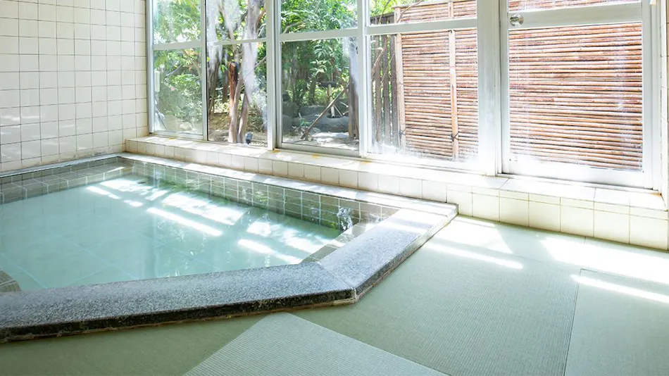 Asama Onsen Fujinoyu
