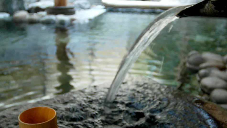 Ryokan Miyuki Onsen