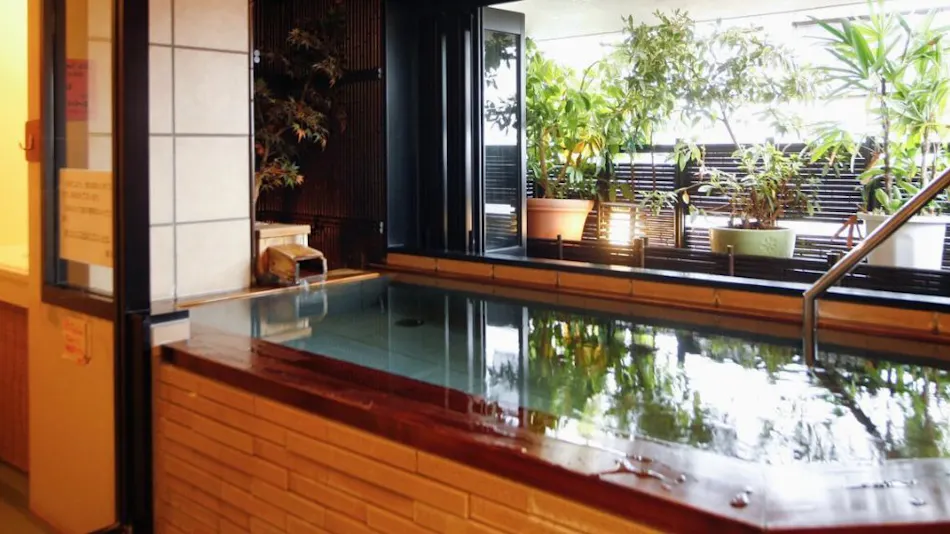 Yamashiro Onsen Houshoutei