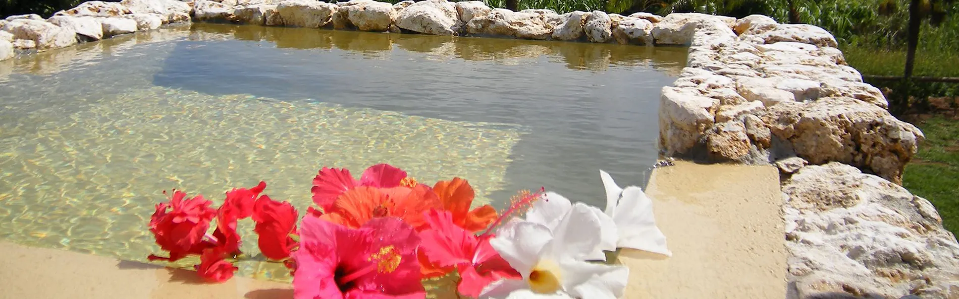 ティンヌカーラ