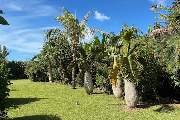 ภายในโรงแรม