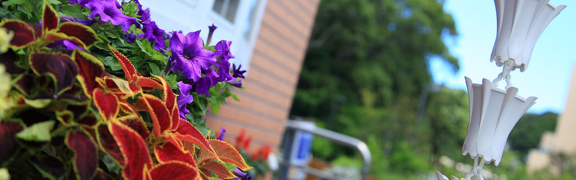 和みの宿　弓ヶ浜いち番館