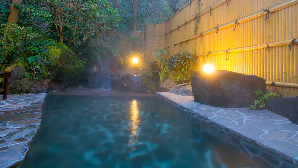 Atsugi Iiyama Onsen Motoyu Ryokan
