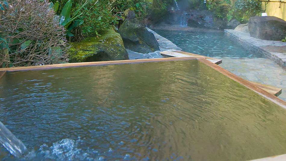 Atsugi Iiyama Onsen Motoyu Ryokan