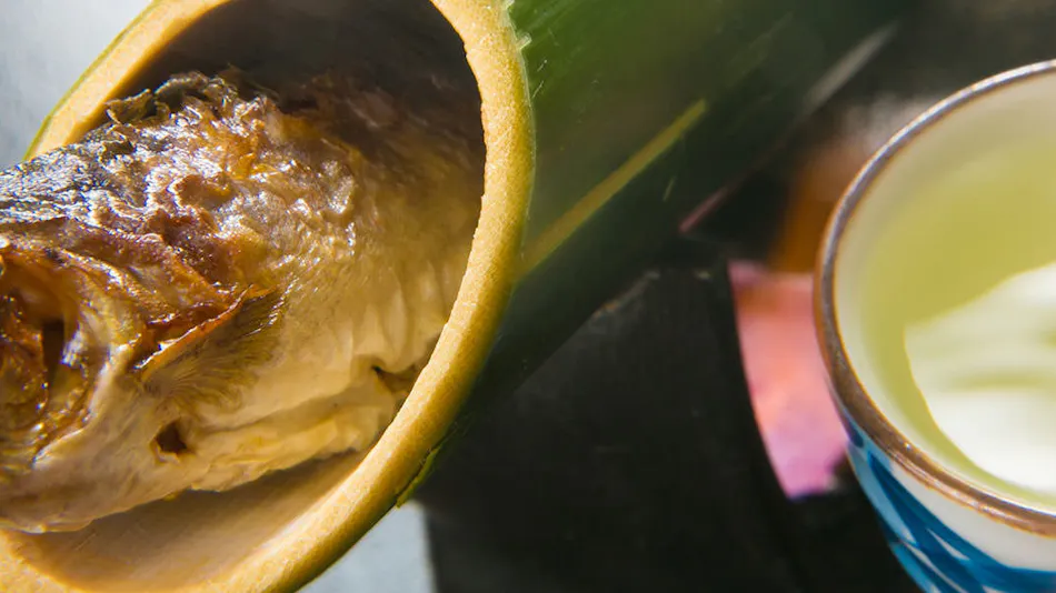 Atsugi Iiyama Onsen Motoyu Ryokan