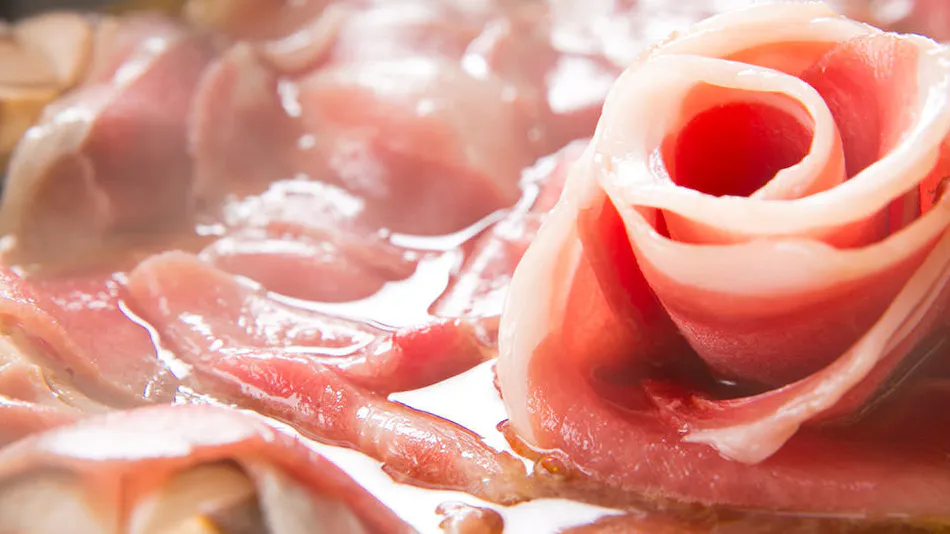 Atsugi Iiyama Onsen Motoyu Ryokan