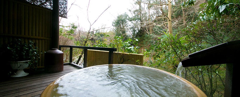 Atsugi Iiyama Onsen Motoyu Ryokan