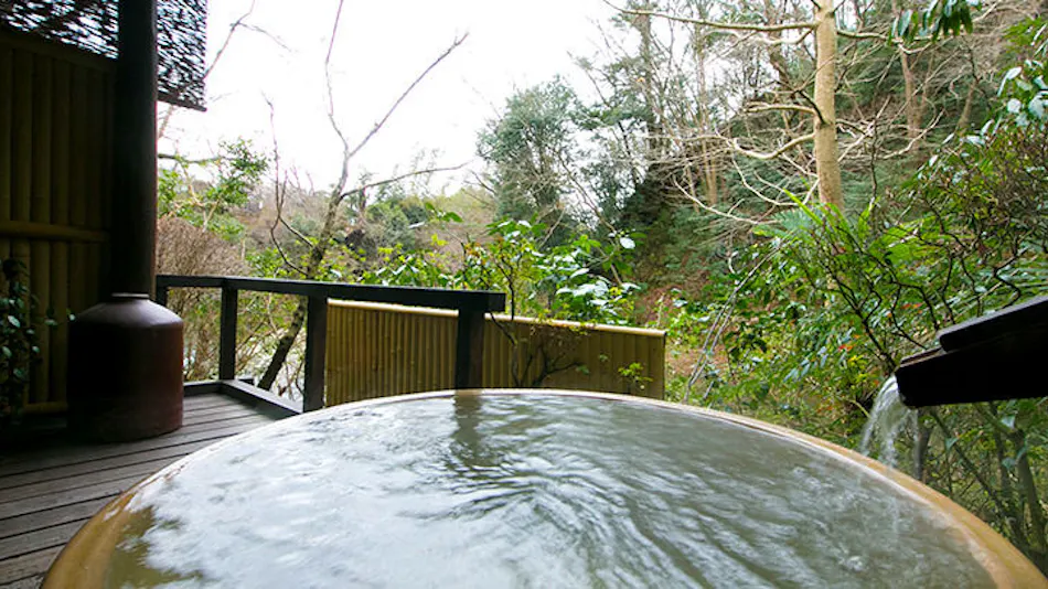 Atsugi Iiyama Onsen Motoyu Ryokan