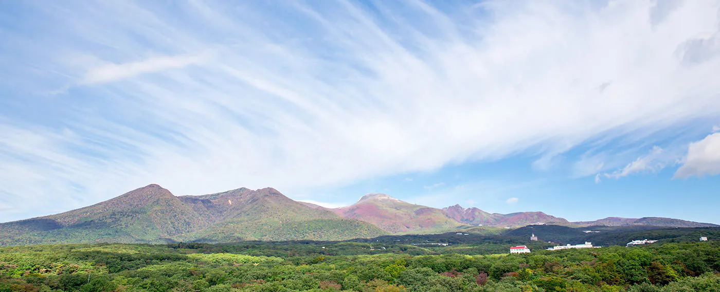 นาสุเร็นซัง