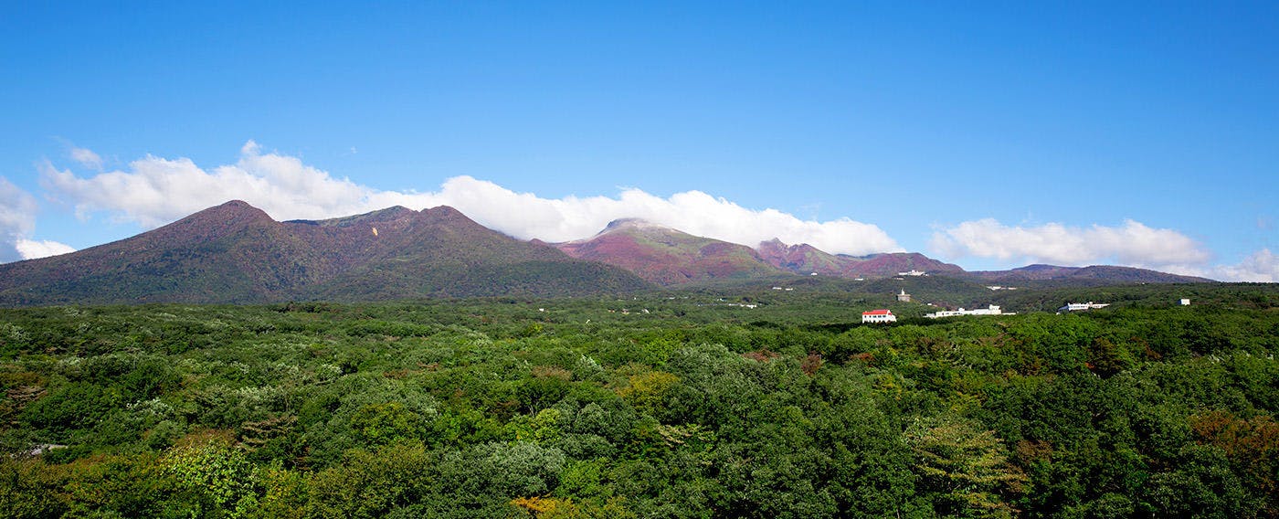 นาสุเร็นซัง