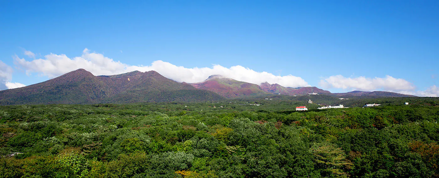 นาสุเร็นซัง