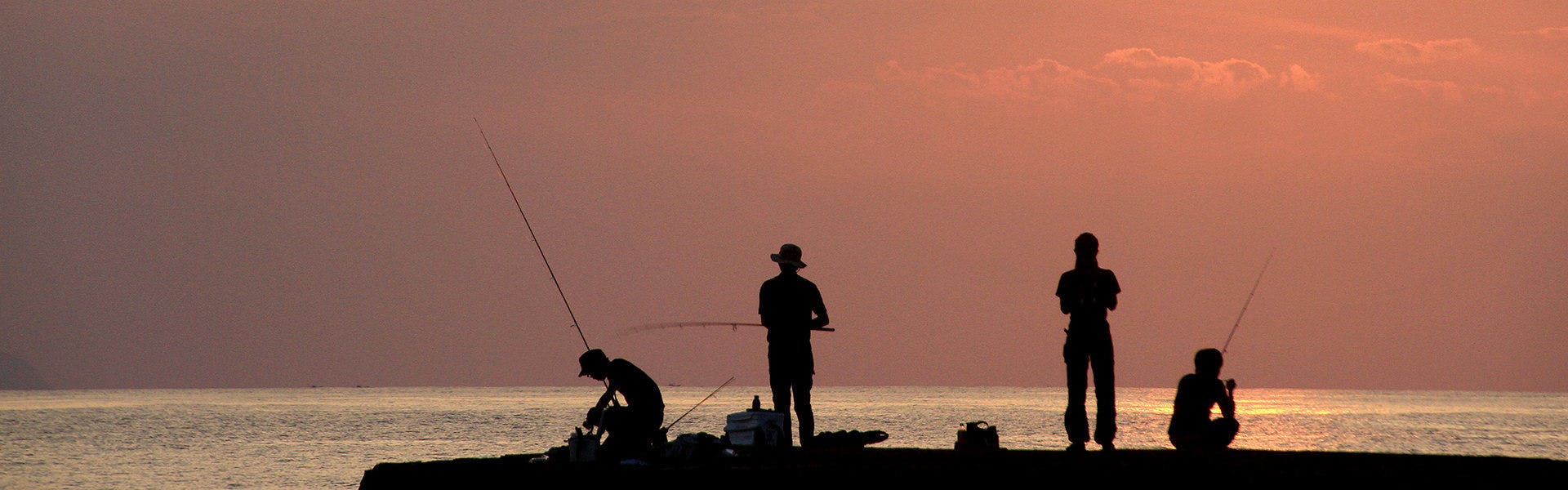 การตกปลา