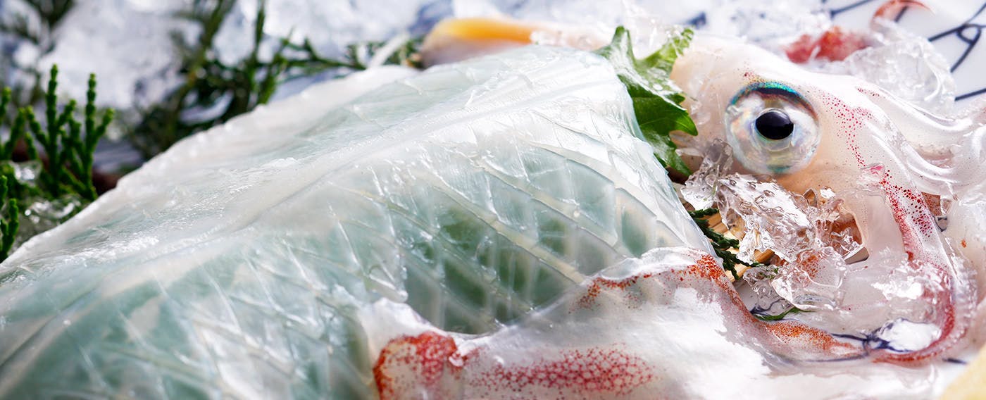 活け烏賊の造り