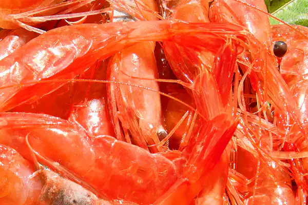 กุ้งหวาน