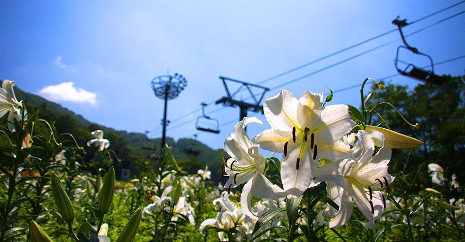 รอบๆ สิ่งอำนวยความสะดวก