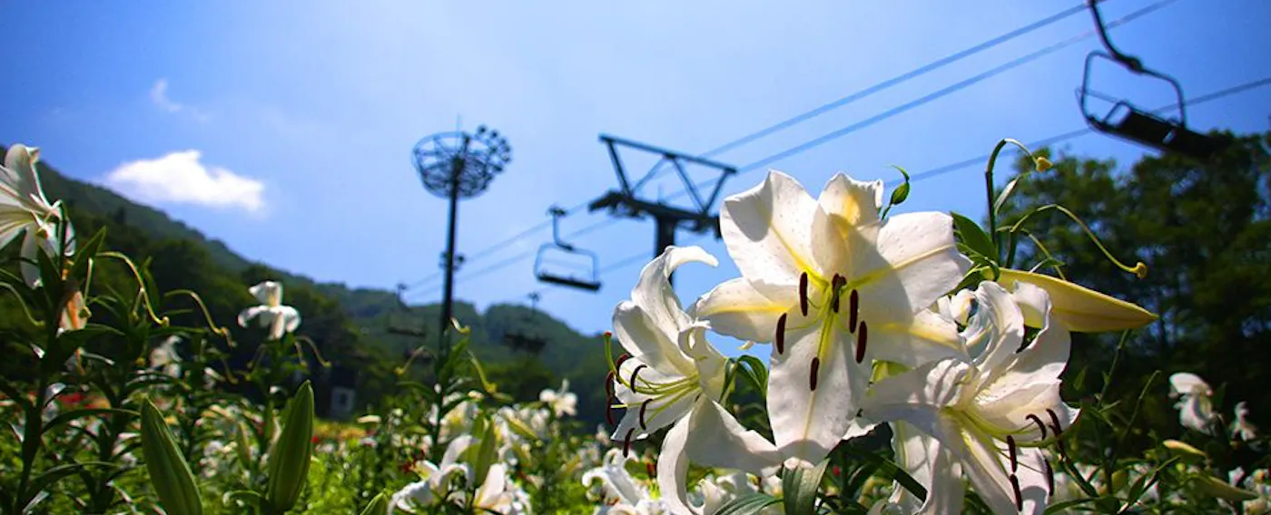 รอบๆ สิ่งอำนวยความสะดวก