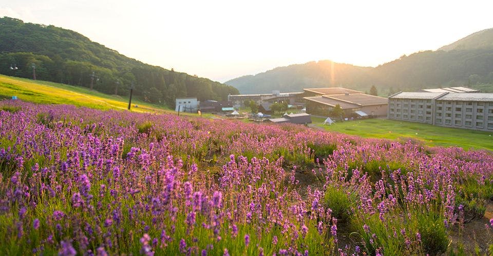 รอบๆ สิ่งอำนวยความสะดวก