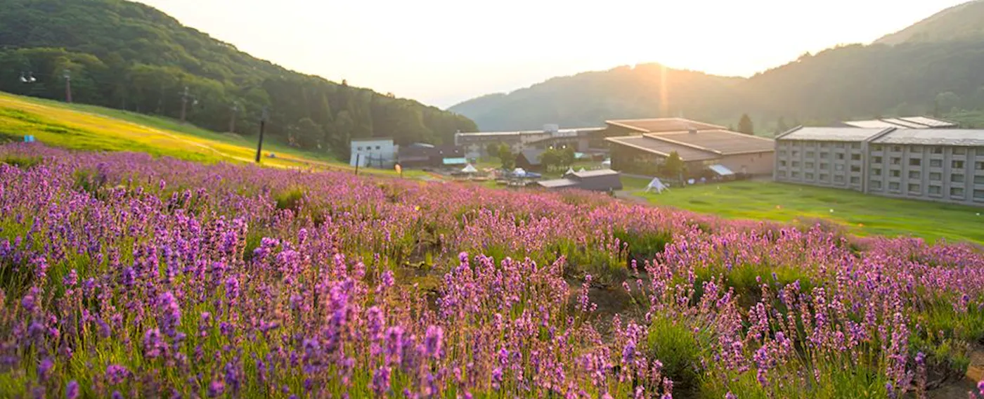 รอบๆ สิ่งอำนวยความสะดวก