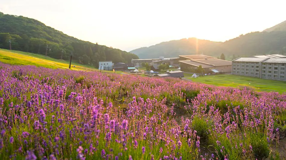 Madarao Tokyu Resort Hotel Tangram