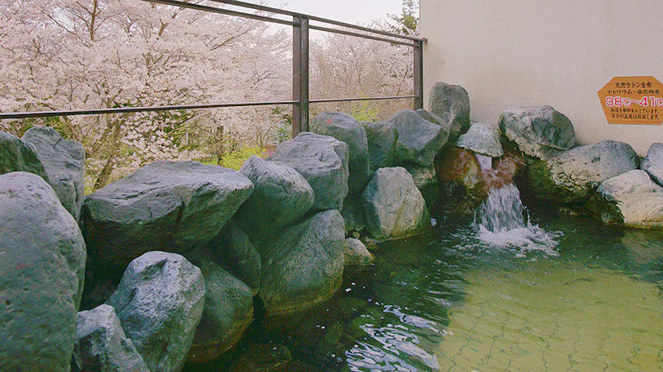 Hotel Kami no Yu Onsen