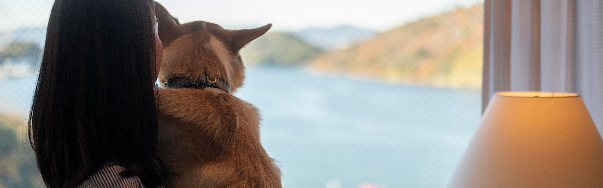 うなぎパイファクトリーのペットokのお部屋 近いホテル 旅館 宿泊予約は 一休 Com