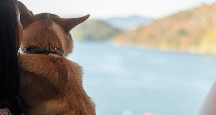 うなぎパイファクトリーのペットokのお部屋 近いホテル 旅館 宿泊予約は 一休 Com うなぎパイファクトリーのペットokのお部屋 近いホテル 旅館 宿泊予約は 一休 Com