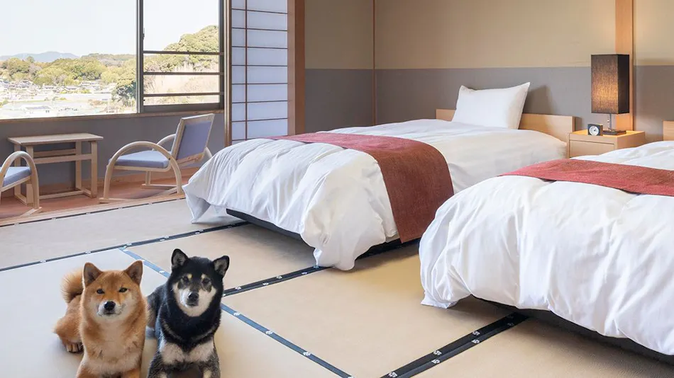 Wan Wan Paradise Hamanako