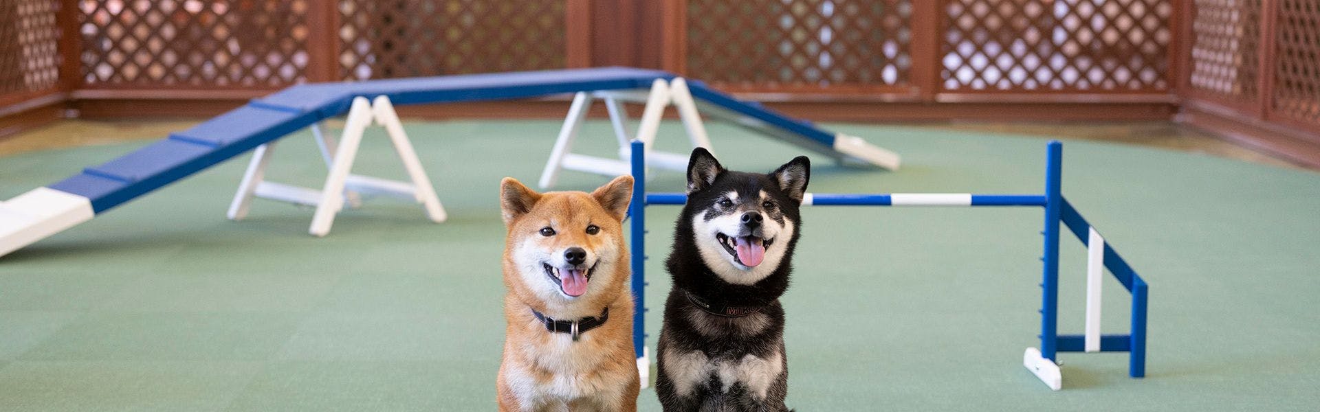 わんわんパラダイス 浜名湖（旧：浜名湖わんわんパラダイス ホテル）